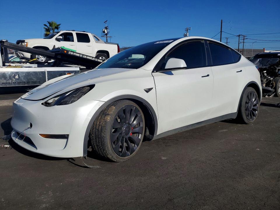 2024 TESLA MODEL Y — VIN 7SAYGDEF6RF167502