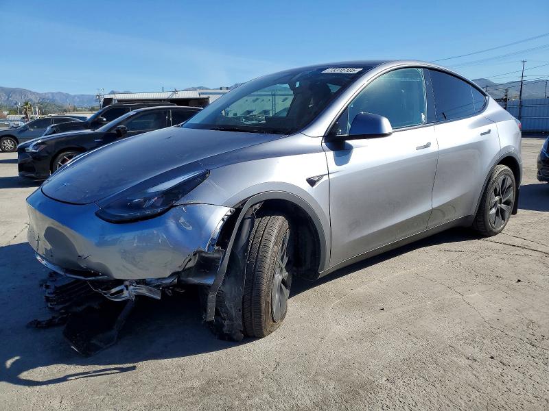 2024 TESLA MODEL Y — VIN 7SAYGDEE8RA293302