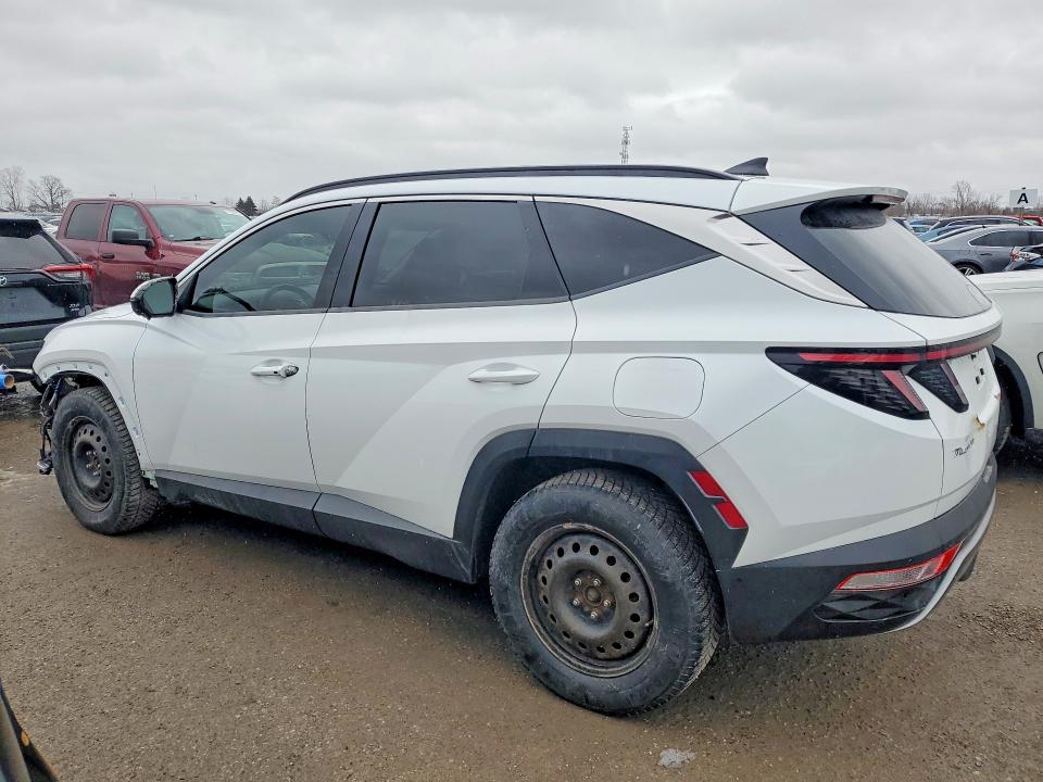 KM8JCCA10NU035556