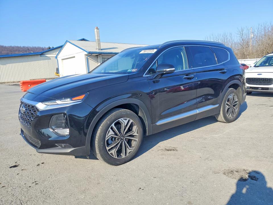 2020 HYUNDAI SANTA FE — VIN 5NMS3CAA6LH195373