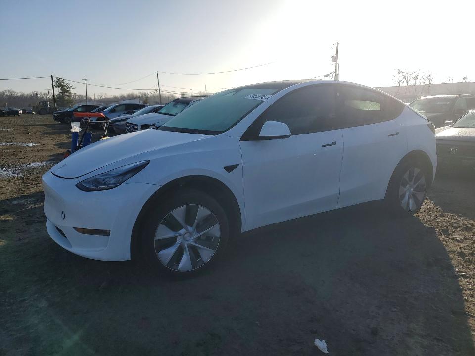 2023 TESLA MODEL Y — VIN 7SAYGAEE8PF610994