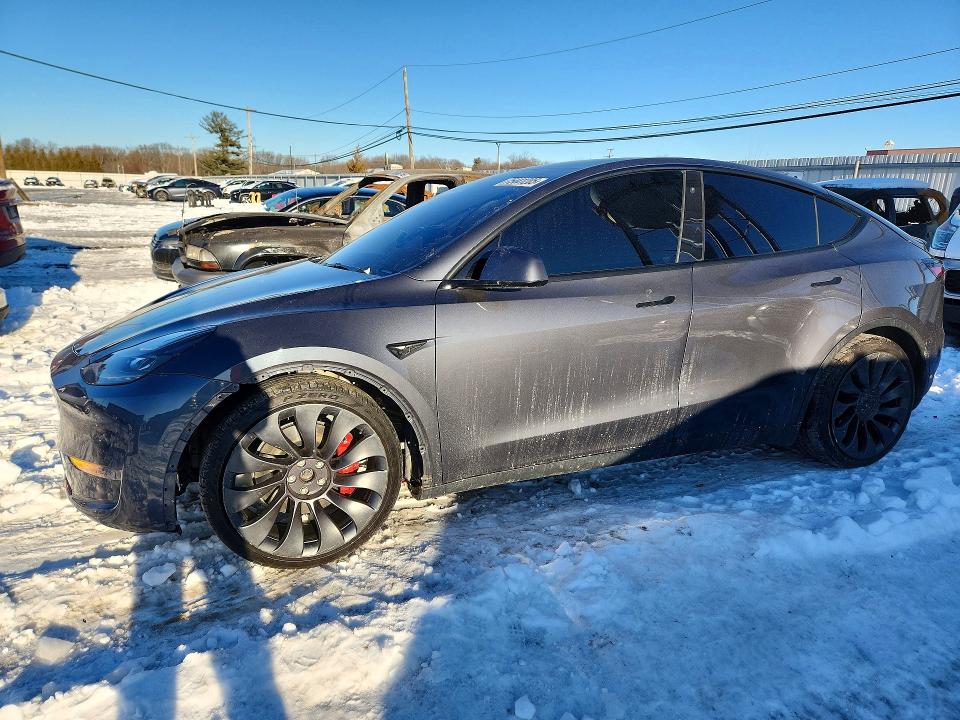 2021 TESLA MODEL Y — VIN 5YJYGDEF8MF230444