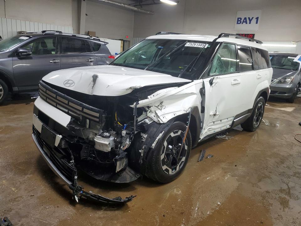 2024 HYUNDAI SANTA FE — VIN 5NMP2DGL7RH006696