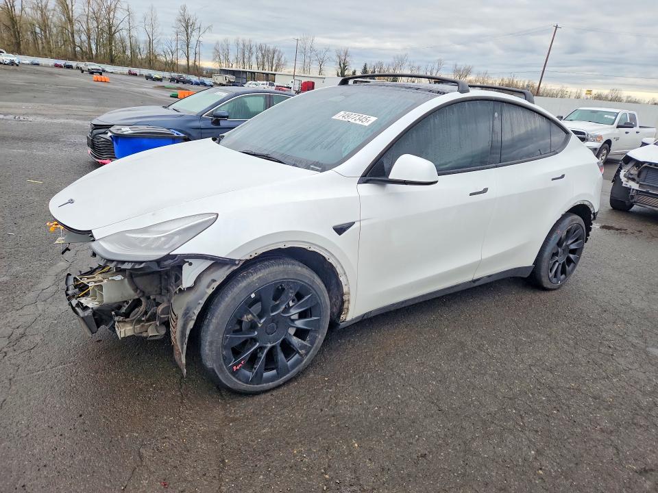 2023 TESLA MODEL Y — VIN 7SAYGDEE0PA104574