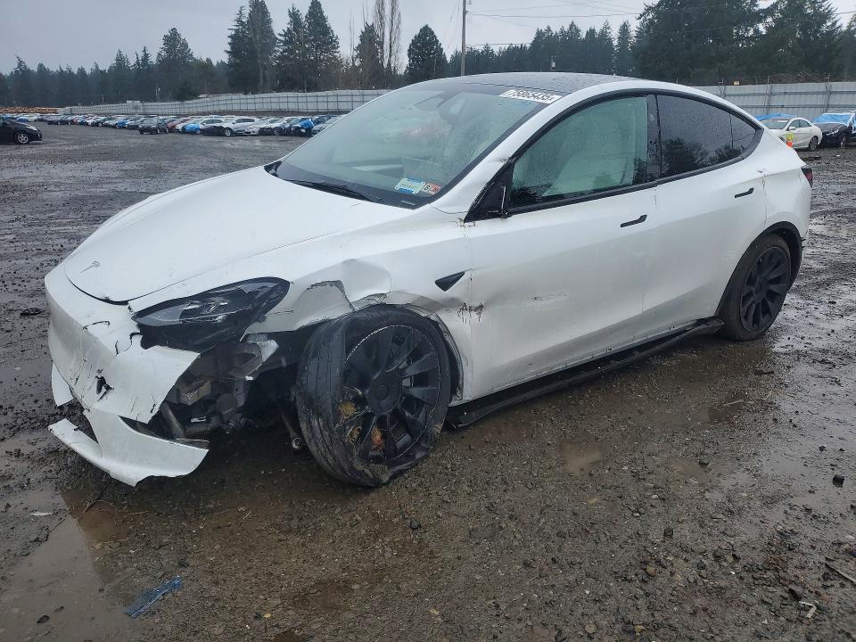 2023 TESLA MODEL Y — VIN 7SAYGAEEXPF849009