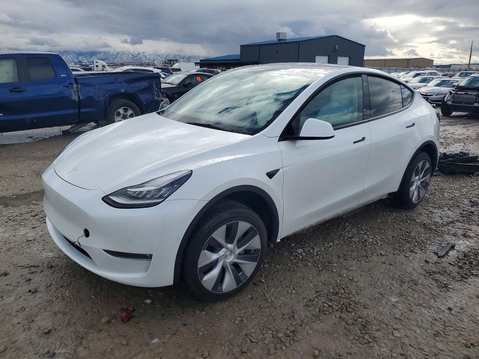 2021 TESLA MODEL Y — VIN 5YJYGAEE6MF282158