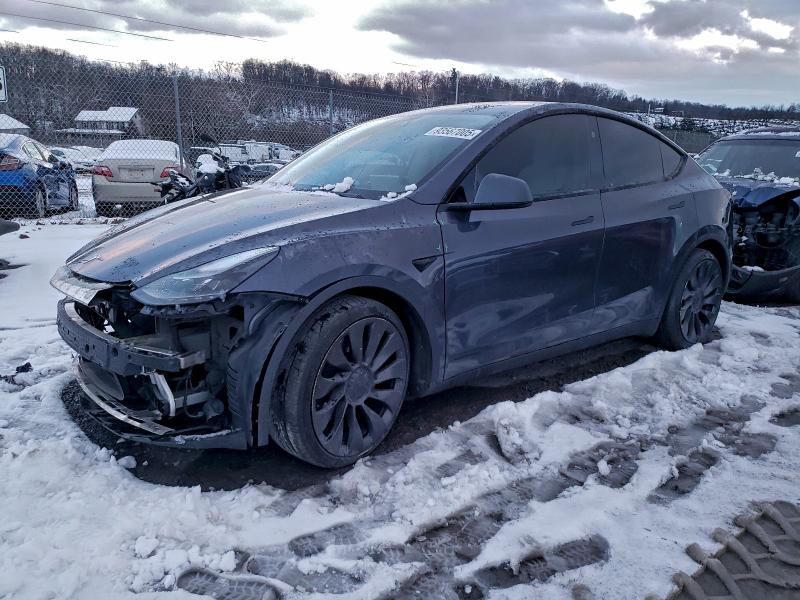 2023 TESLA MODEL Y — VIN 7SAYGDEF0PF941949