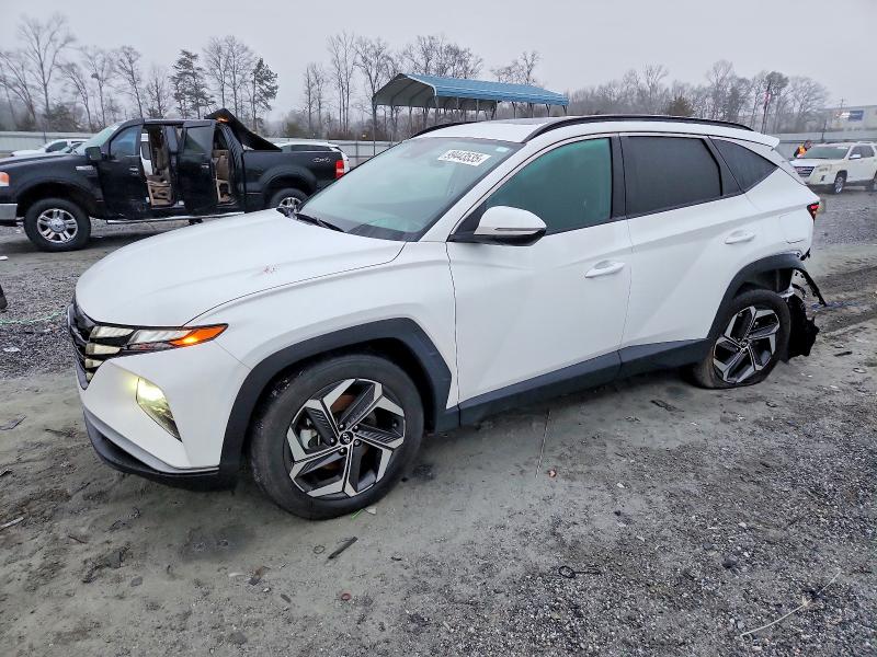 2024 HYUNDAI TUCSON — VIN 5NMJF3DE9RH431461