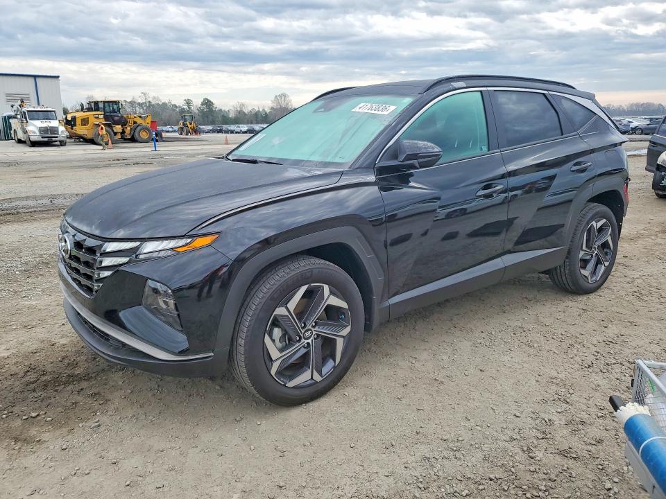 2024 HYUNDAI TUCSON HYBRID — VIN KM8JCCD16RU137946