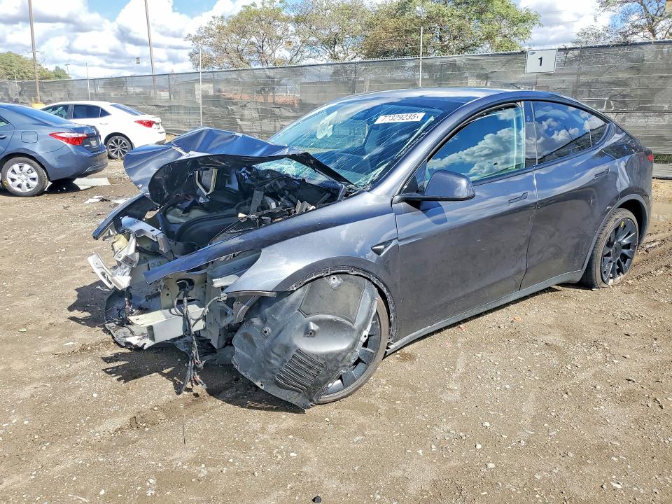 2024 TESLA MODEL Y — VIN 7SAYGDED2RF019488