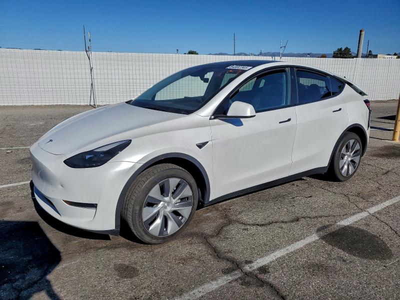 2024 TESLA MODEL Y — VIN 7SAYGDEE1RA261064