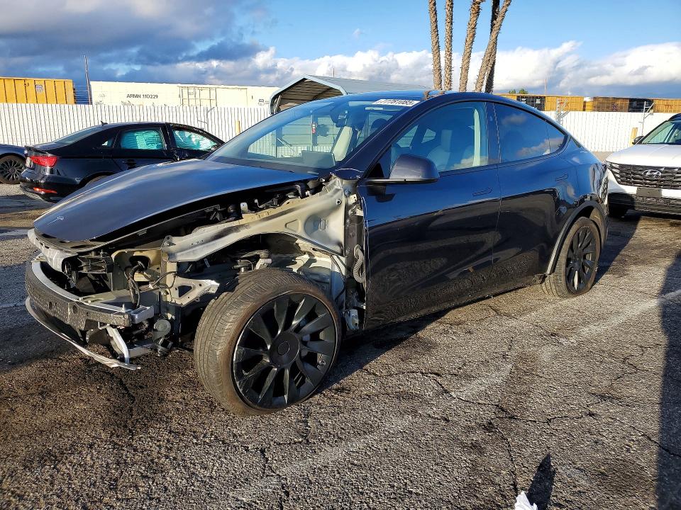 2024 TESLA MODEL Y — VIN 7SAYGDED9RF103839