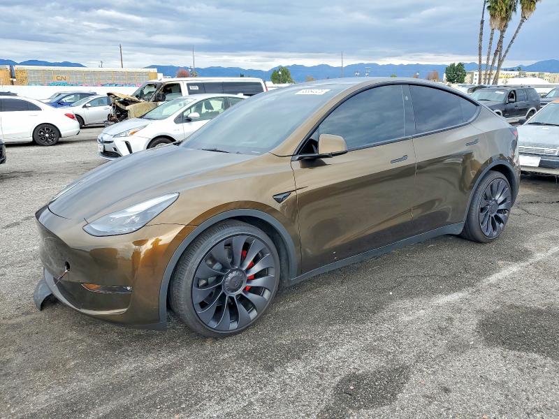 2025 TESLA MODEL Y — VIN 7SAYGDEF5SF303690