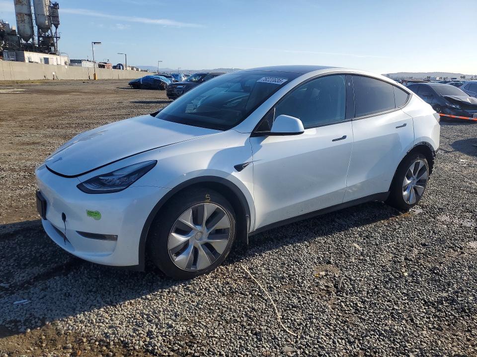 2023 TESLA MODEL Y — VIN 7SAYGDEE1PA054719