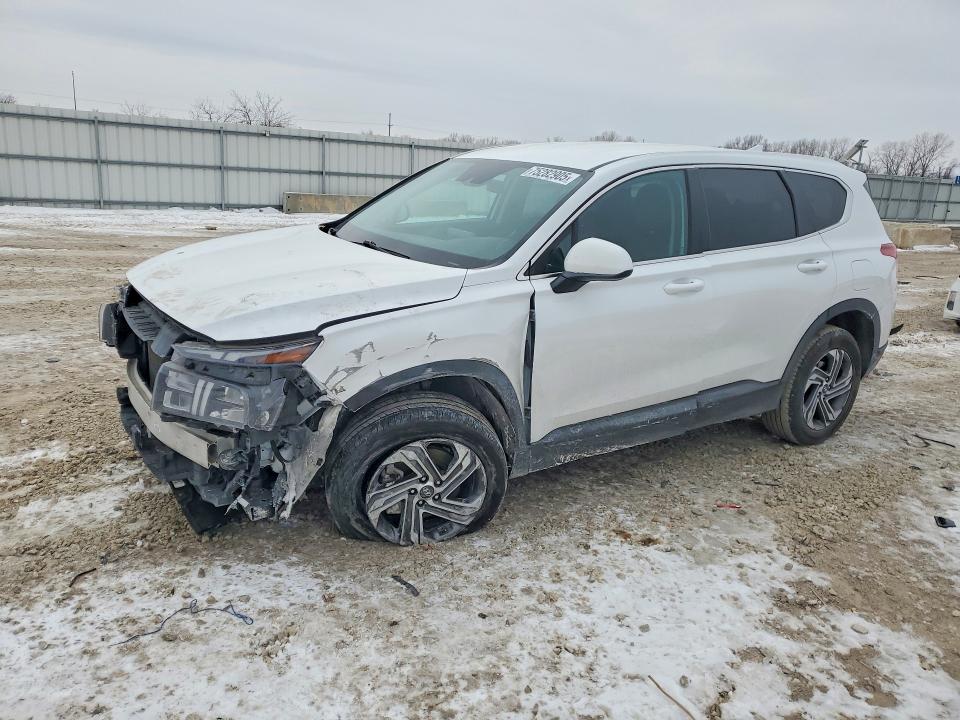 2023 HYUNDAI SANTA FE — VIN 5NMS1DAJ9PH591864