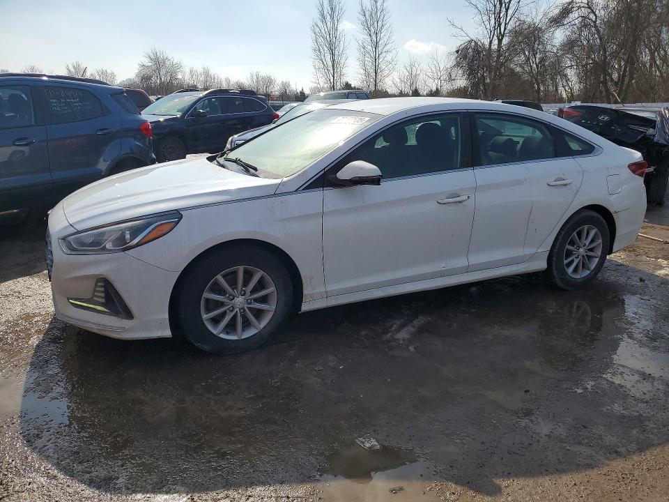 2019 HYUNDAI SONATA — VIN 5NPE24AF6KH789528