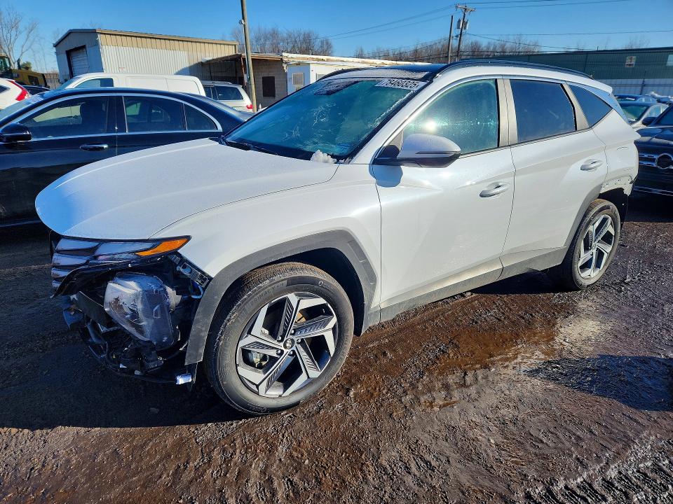 2024 HYUNDAI TUCSON HYBRID — VIN KM8JCCD14RU147486