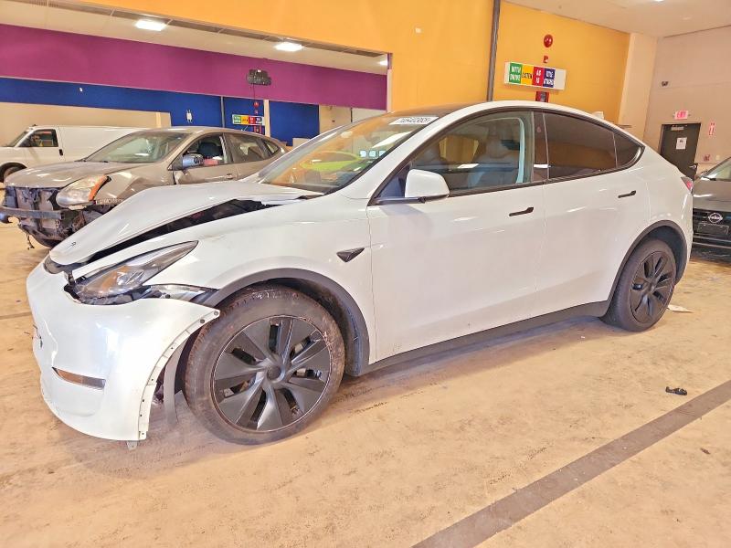 2024 TESLA MODEL Y — VIN 7SAYGDEE6RF198742