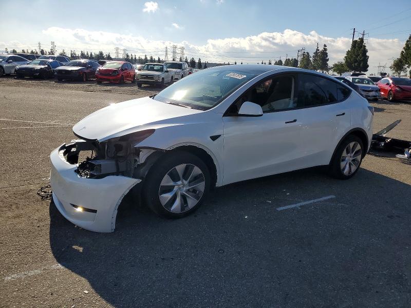 2024 TESLA MODEL Y — VIN 7SAYGDEE3RA261633