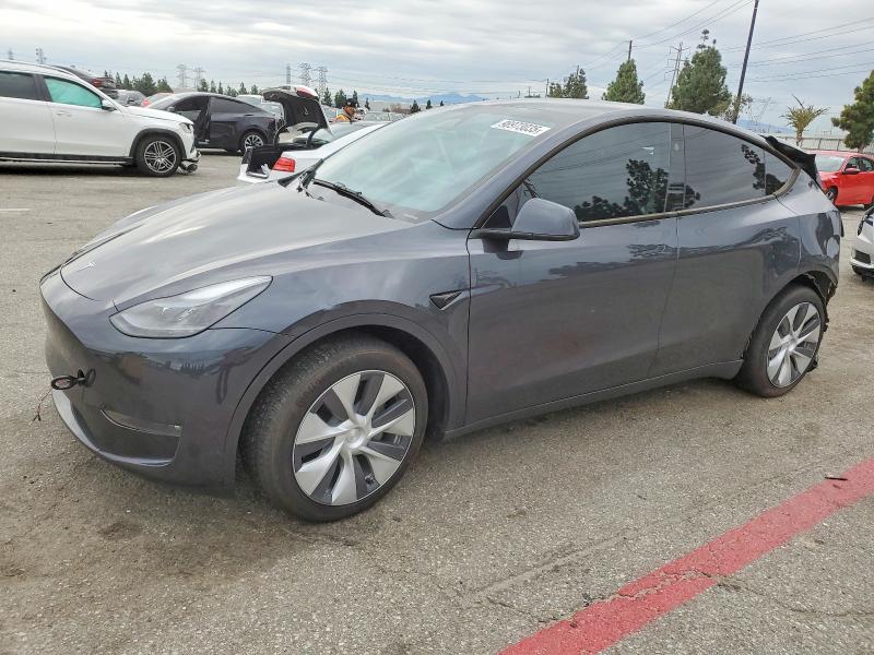 2024 TESLA MODEL Y — VIN 7SAYGDEE4RF063579