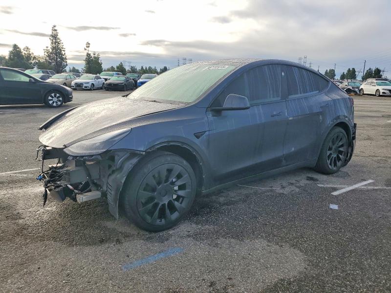 2024 TESLA MODEL Y — VIN 7SAYGDEE0RA233238