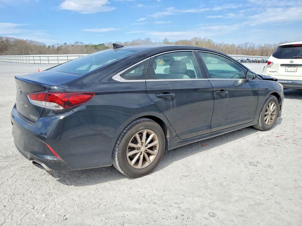 5NPE24AFXJH604556