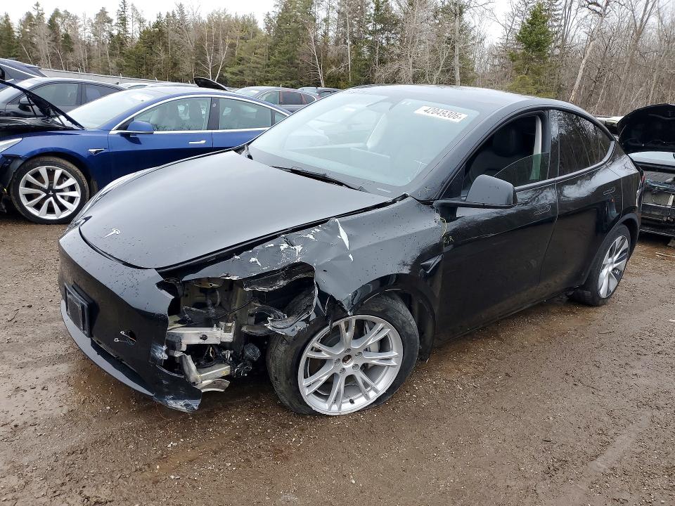 2024 TESLA MODEL Y — VIN 7SAYGDEE6RF042054