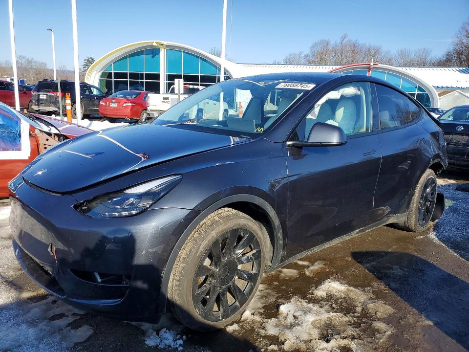 2024 TESLA MODEL Y — VIN 7SAYGDEE2RA234813