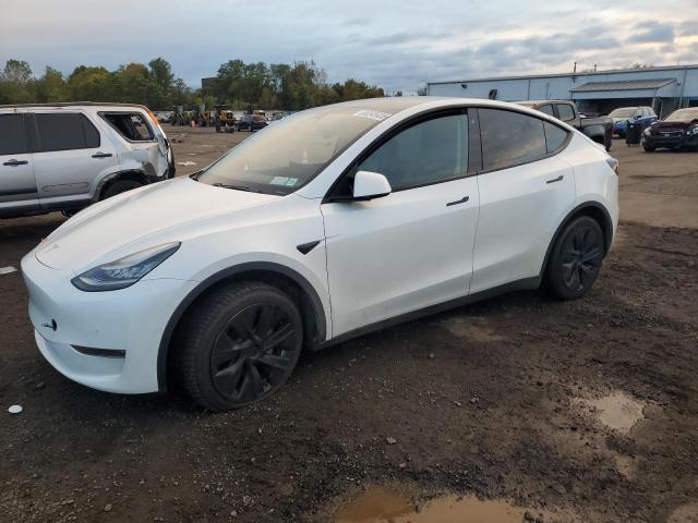 2020 TESLA MODEL Y — VIN 5YJYGDEE7LF024862