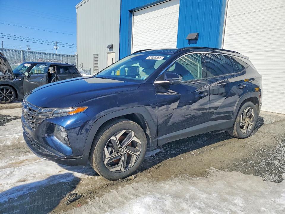 2024 HYUNDAI TUCSON — VIN KM8JCCD14RU223241