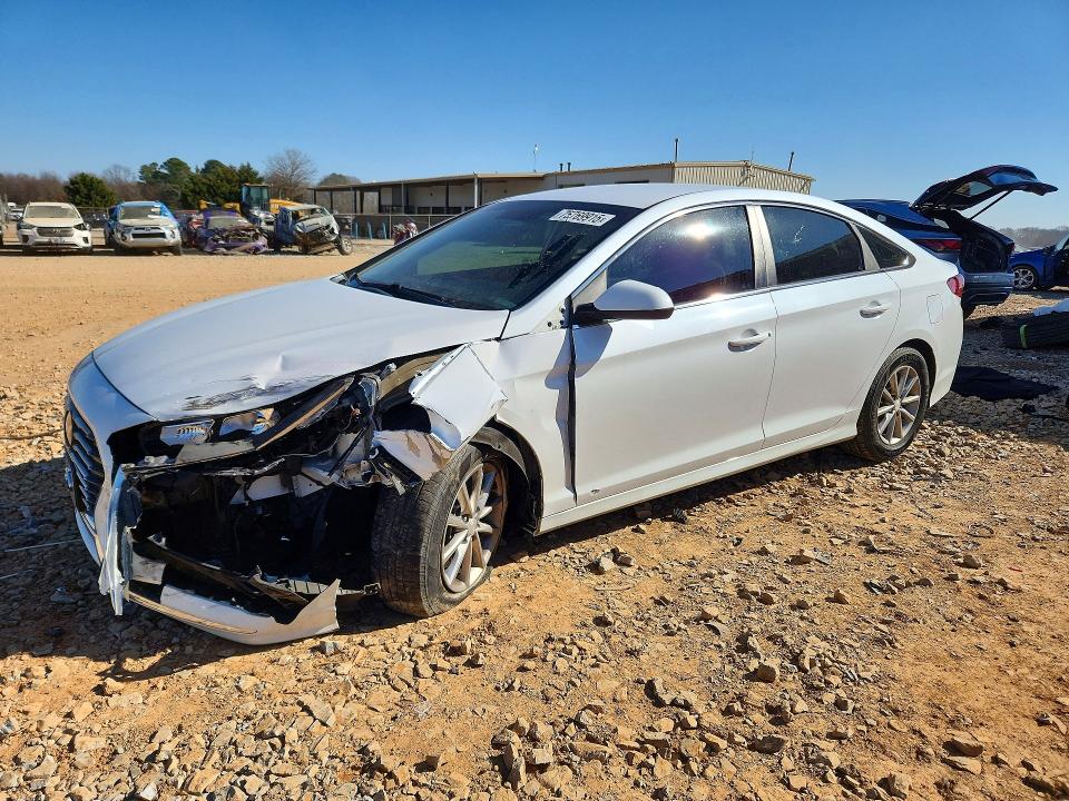 2019 HYUNDAI SONATA — VIN 5NPE24AF4KH771822