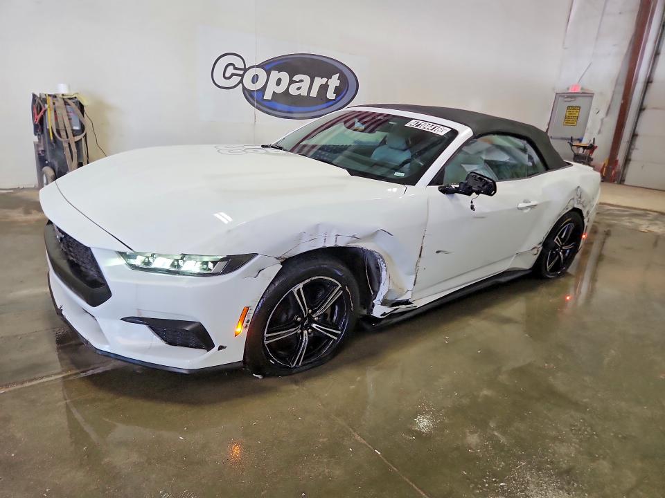 2024 FORD MUSTANG — VIN 1FAGP8UH6R5114566