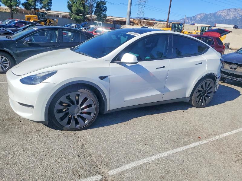 2022 TESLA MODEL Y — VIN 7SAYGDEF8NF410172