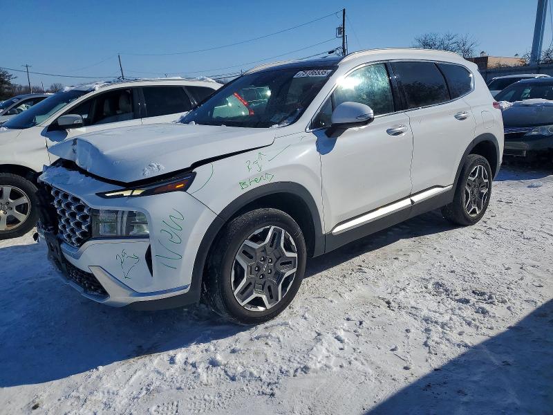 2023 HYUNDAI SANTA FE — VIN 5NMS3DA1XPH008390