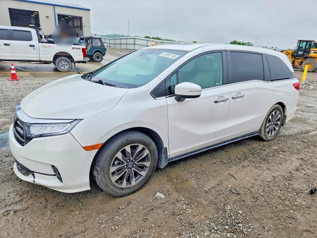 2022 HONDA ODYSSEYEXL — VIN 5FNRL6H71NB065662