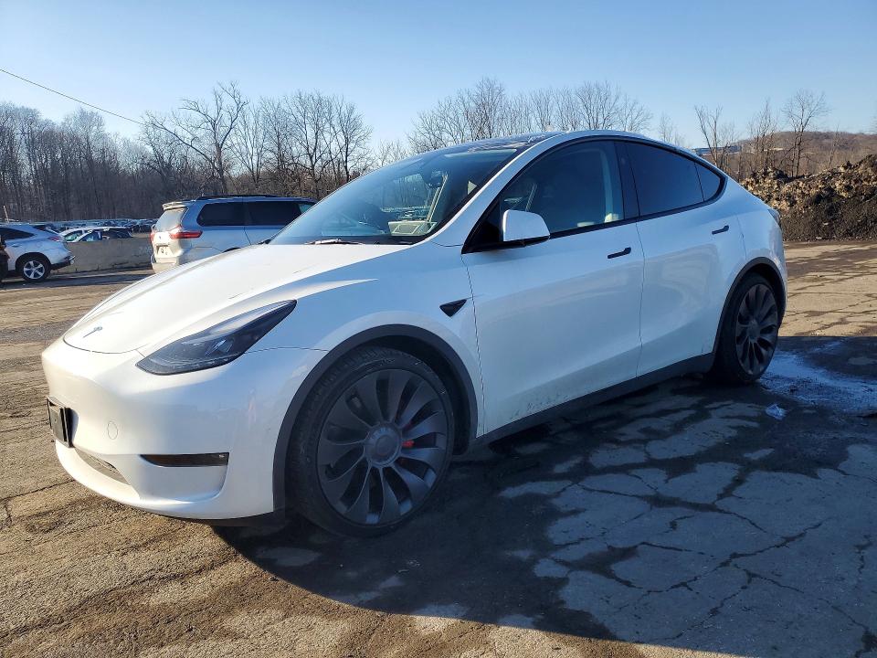 2023 TESLA MODEL Y — VIN 7SAYGDEF6PF804028