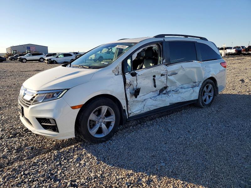2019 HONDA ODYSSEY — VIN 5FNRL6H79KB101982