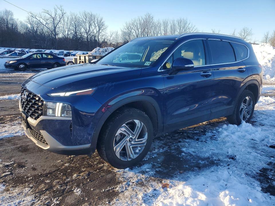 2023 HYUNDAI SANTA FE — VIN 5NMS2DAJ6PH586201