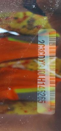 2C3CDXGJ0LH146265