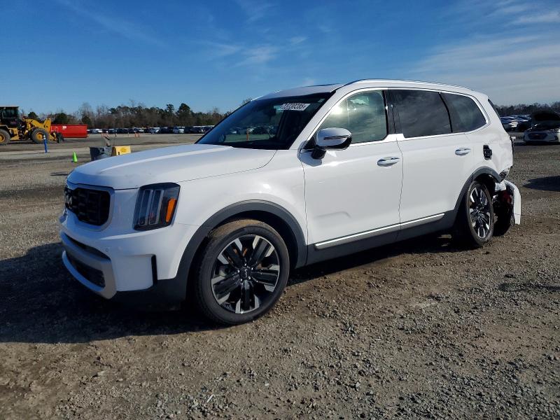 2024 KIA TELLURIDE — VIN 5XYP5DGC7RG477930