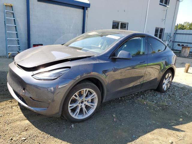 2023 TESLA MODEL Y — VIN 7SAYGDED3PF933598