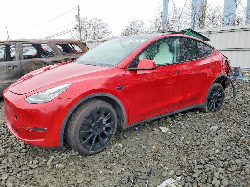 2023 TESLA MODEL Y — VIN 7SAYGDEE4PF619158
