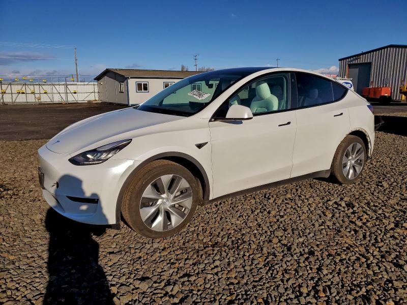 2021 TESLA MODEL Y — VIN 5YJYGAEE8MF258881