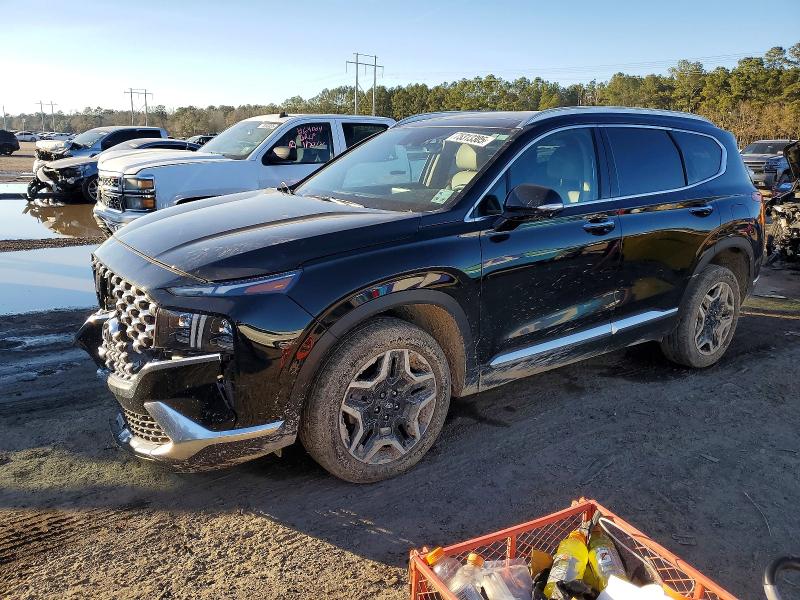 2023 HYUNDAI SANTA FE — VIN 5NMS5DA1XPH023630