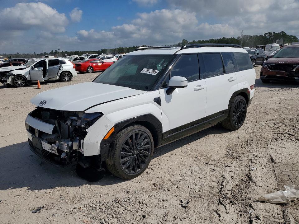 2025 HYUNDAI SANTA FE — VIN 5NMP5DGL7SH072498