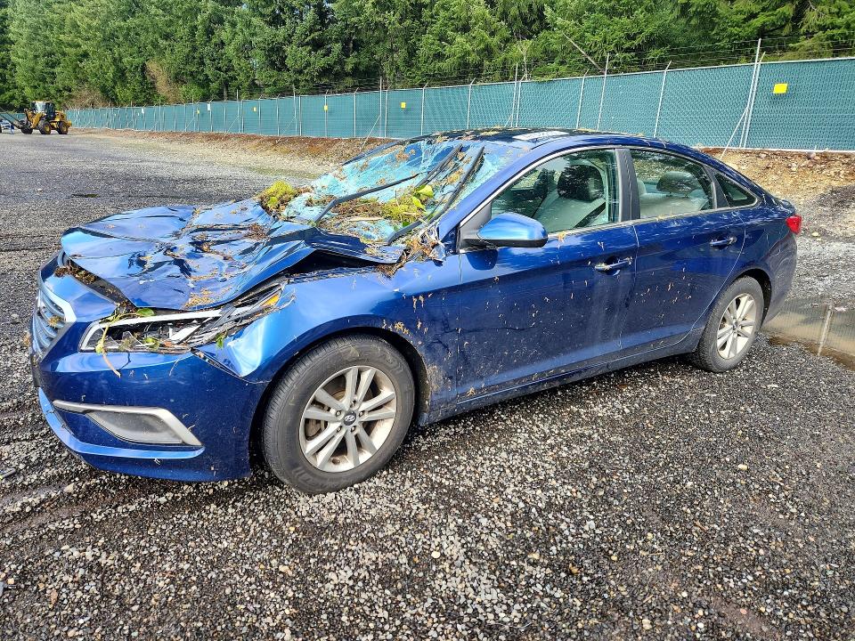 2017 HYUNDAI SONATA — VIN 5NPE24AF7HH545556
