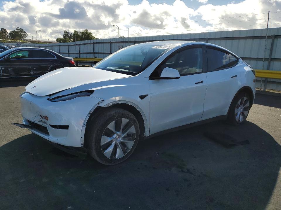 2023 TESLA MODEL Y — VIN 7SAYGAEE8PF713591
