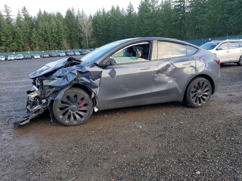 2023 TESLA MODEL Y — VIN 7SAYGDEF0PF752668