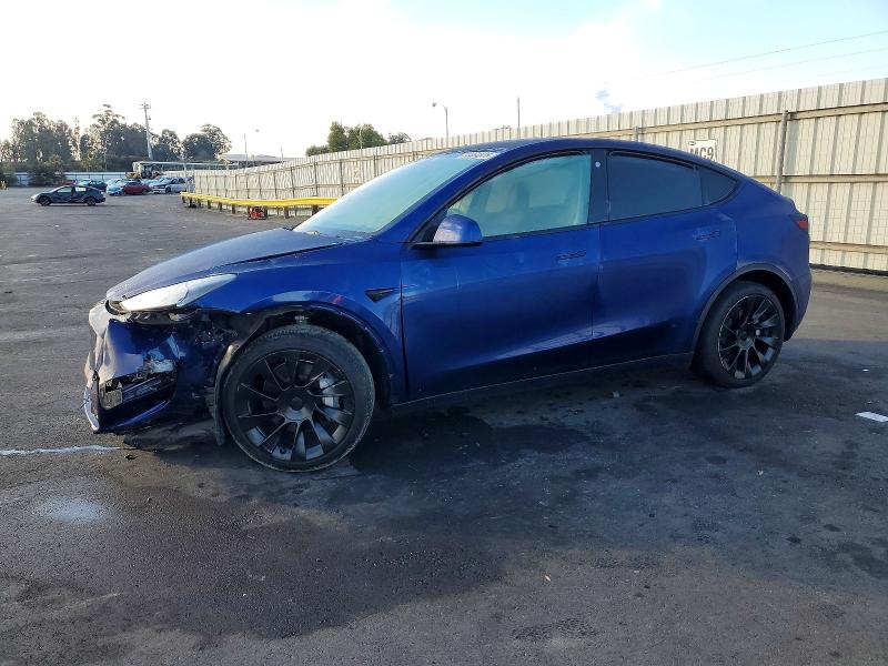 2023 TESLA MODEL Y — VIN 7SAYGDEE9PA127755