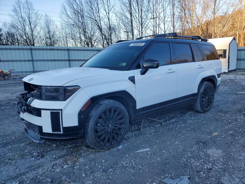 2024 HYUNDAI SANTA FE — VIN 5NMP5DGL5RH066855